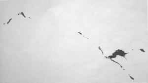 Judith Trepp, Untitled, 2010, Eitempera, Öl und Ölstift auf Leinwand, 61 x 115 cm, © ART FORUM UTE BARTH