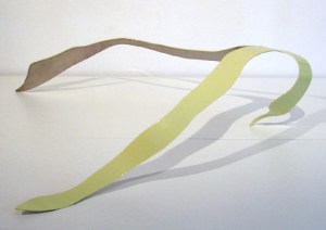 trepp-2994 Judith Trepp