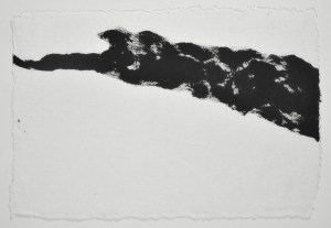 Judith Trepp, Untitled 2008, Tusche auf Papier, 48 x 74cm ART FORUM UTE BARTH